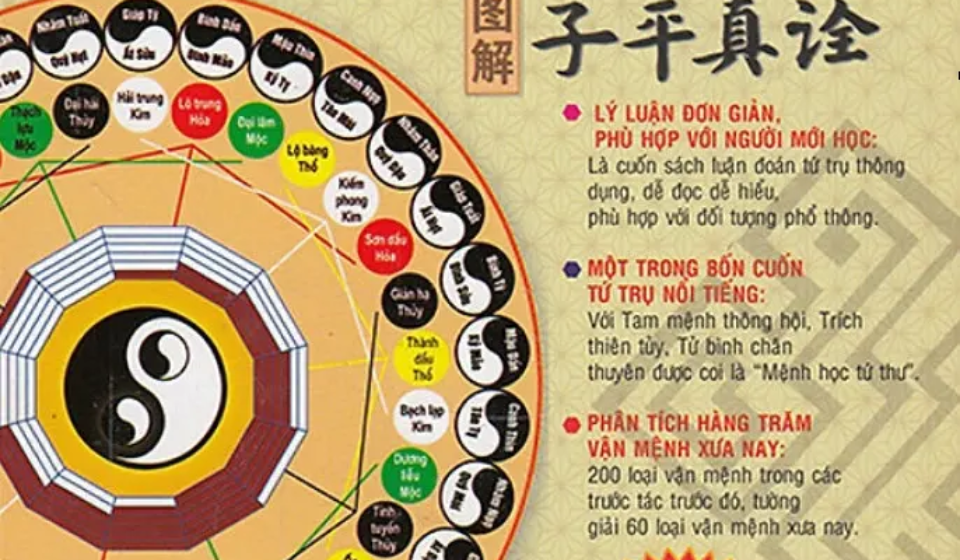 lá số tử vi trọn đời