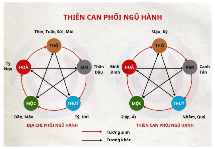 Tử vi 2