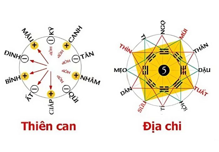 tử vi bát tự 3