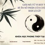 tử vi bát tự