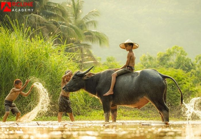 tử vi tuổi ất sửu