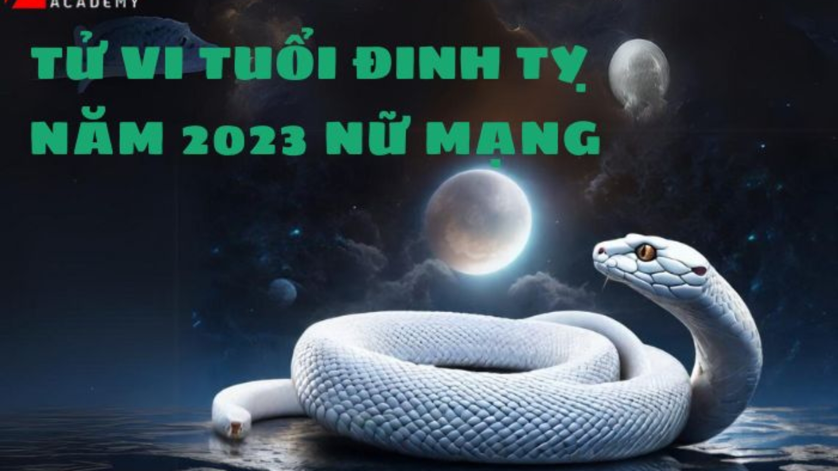 tử vi tuổi đinh tỵ năm 2023 nữ mạng