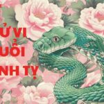 Tử Vi Đinh Tỵ