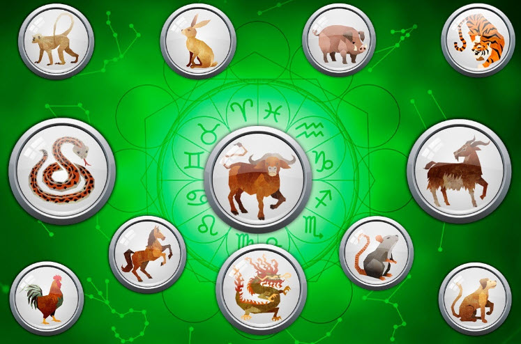 xem tử vi