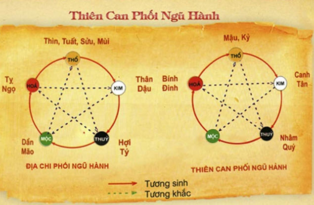 xem tử vi trọn đời