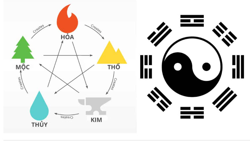 xem bói tử vi