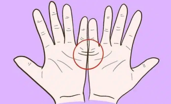 xem chỉ tay đường con cái