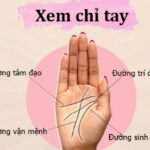 Xem Chỉ Tay Nữ Tay Phải Những Điểm Đặc Biệt Cần Chú Ý