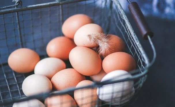 Nằm Mơ Thấy Nhặt Được Nhiều Trứng Vịt nằm mơ thấy nhặt được nhiều trứng vịt