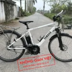 xe dap tro luc dien nhat bai 9