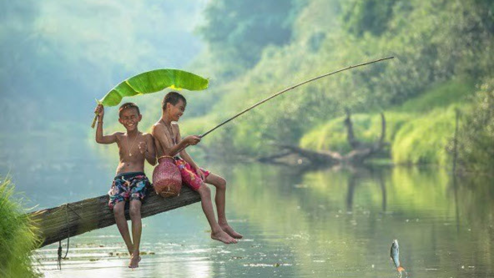 nằm mơ thấy câu cá