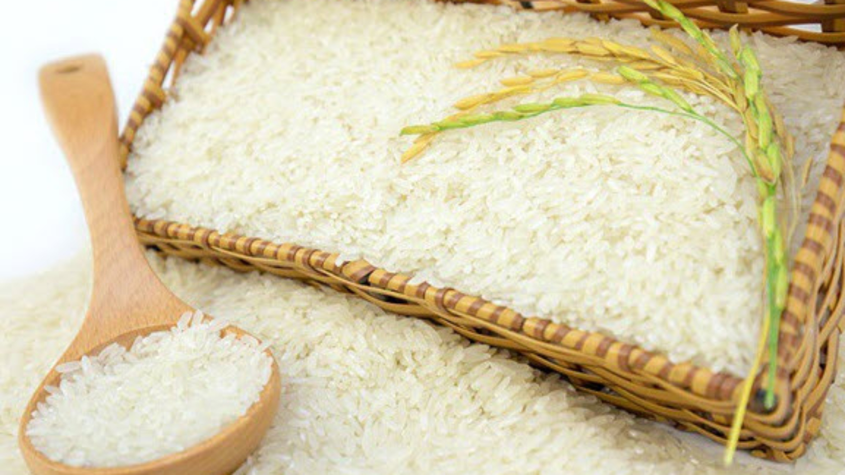 Nằm mơ thấy gạo đánh số gì